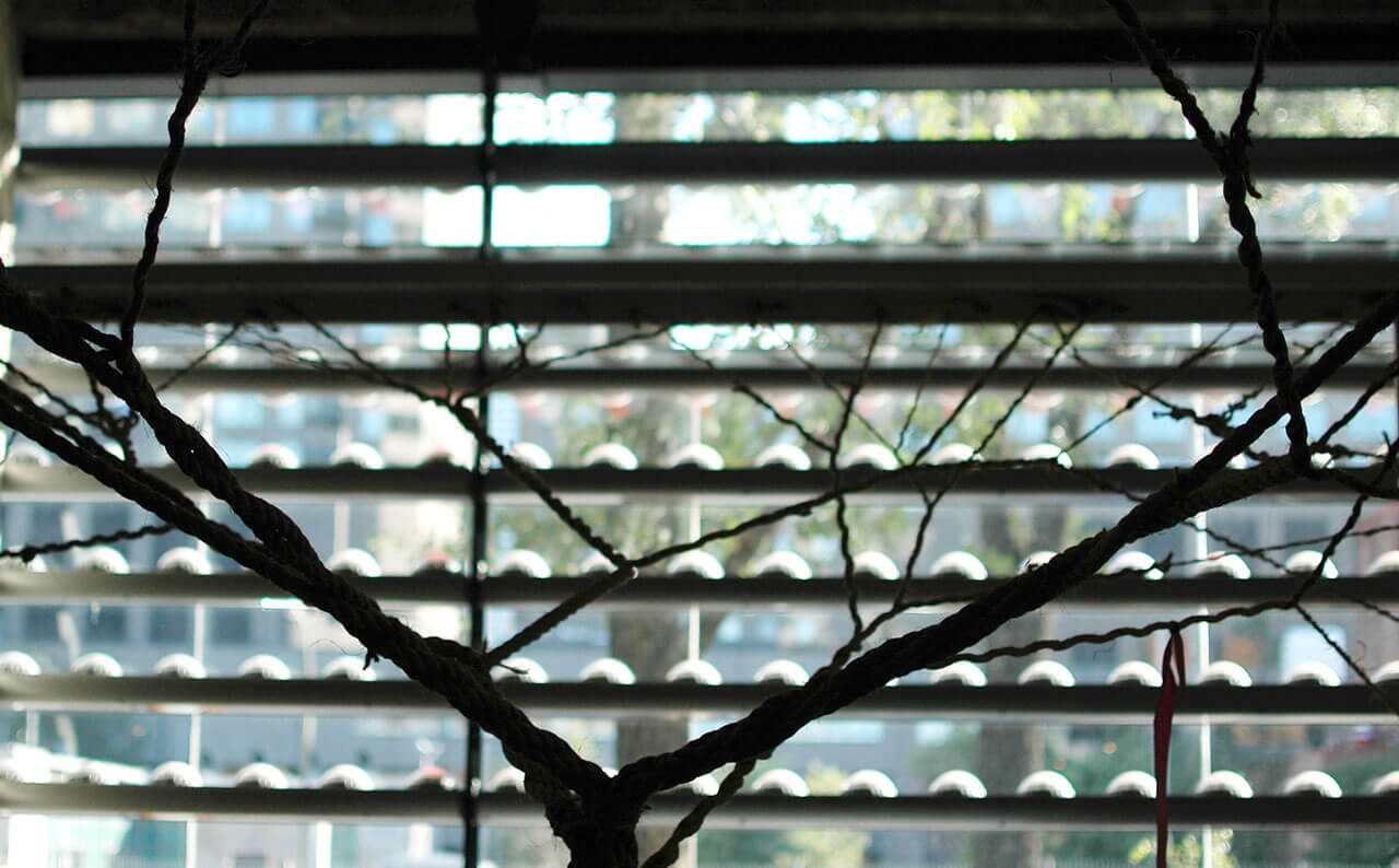 fsm_03web