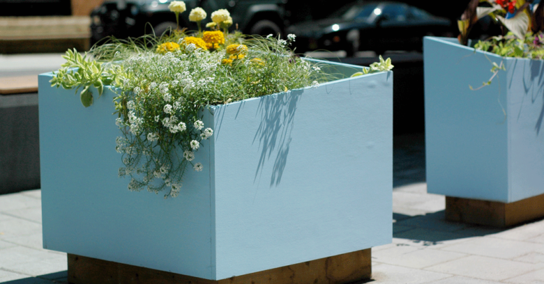 Jardinières de l'aménagement de la rue Prince Arthur