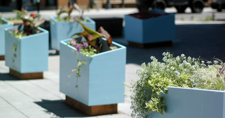 Jardinières de l'aménagement de la rue Prince Arthur