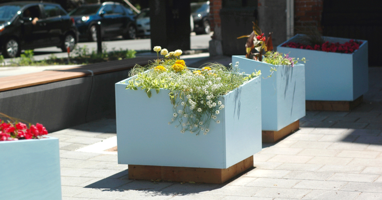 Jardinières de l'aménagement de la rue Prince Arthur